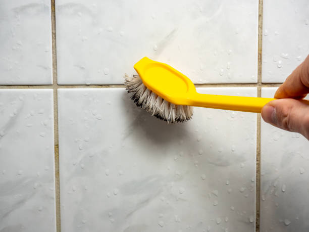  Coral Hills, MD Mold Removal Pros