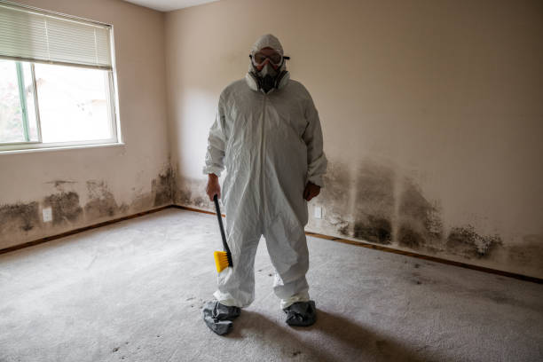 Best Post-Remediation Services in Coral Hills, MD